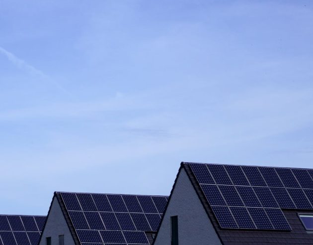 pexels-budget-bizar-92378004-12224996